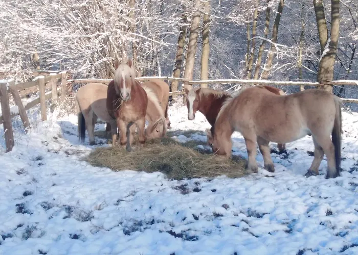 Rancho Vaquera * Polanica-Zdrój